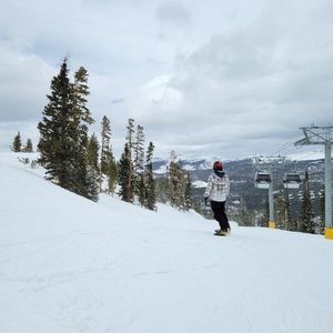 Meet your Posher, Carter